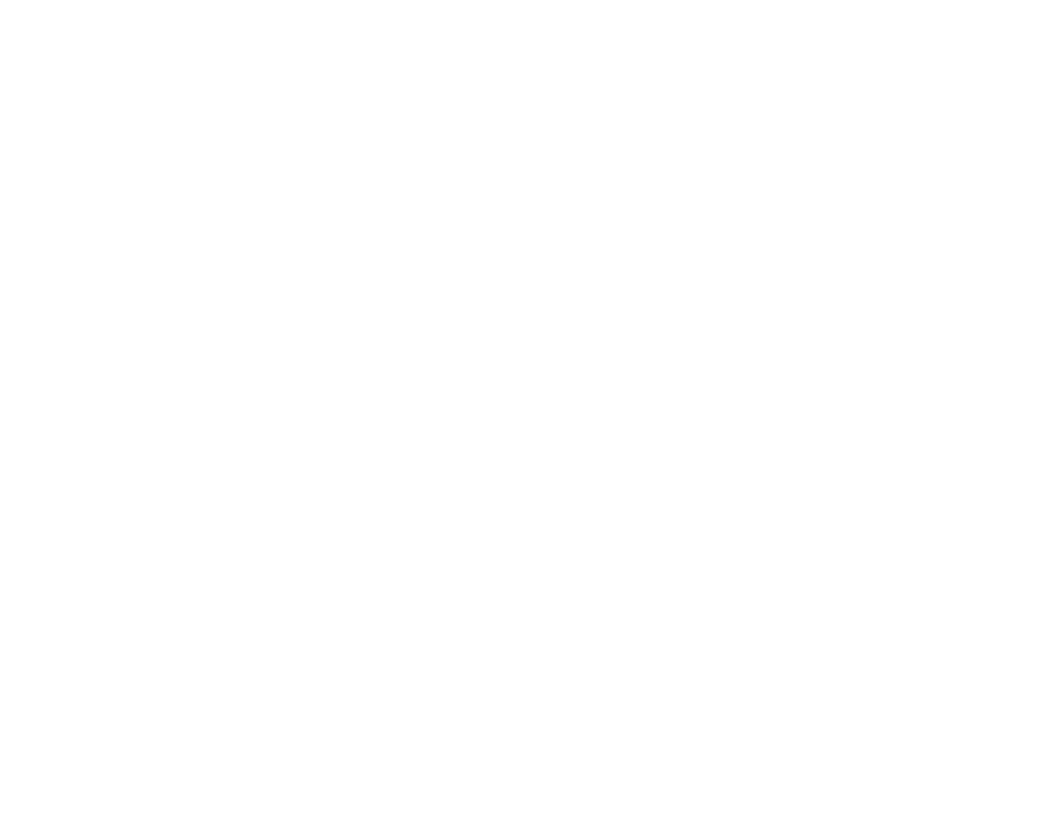 Black Fish Networks